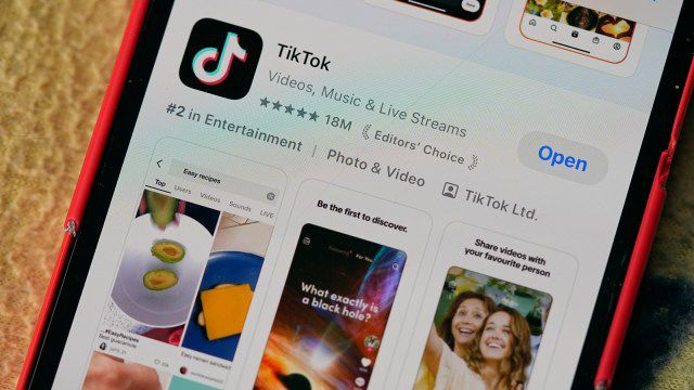 TikTok's Temporary Shutdown and the Political Maneu